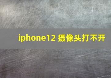 iphone12 摄像头打不开